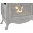 thumbnail image 3 of Duluth Forge Shelves for Ventless Gas Stove - Model# FDSR25SS, 3 of 4