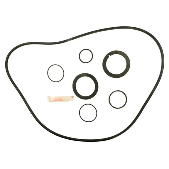 APC APCK1149 O-Ring Kit for DE Filter