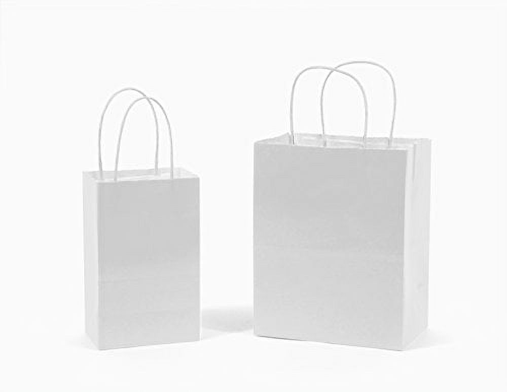Gift Expressions White Gift Bags, 12 Count