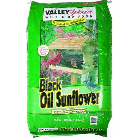 black sunflower seeds walmart valley splendor black sunflower seed walmart black sunflower seeds walmart valley splendor black sunflower seed walmart