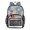 Hedgehog Playing the Violin, variant on PVC Transparent Backpacks Clear Backpack for Travel and Outings Colorful Rainbow Butterfly