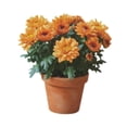 thumbnail image 3 of Pegatinas de pared naranjas, hermosas y elegantes, para decorar ventanas, dormitorios, fiestas temáticas de verano, decoración del hogar y cumpleaños., 3 of 8