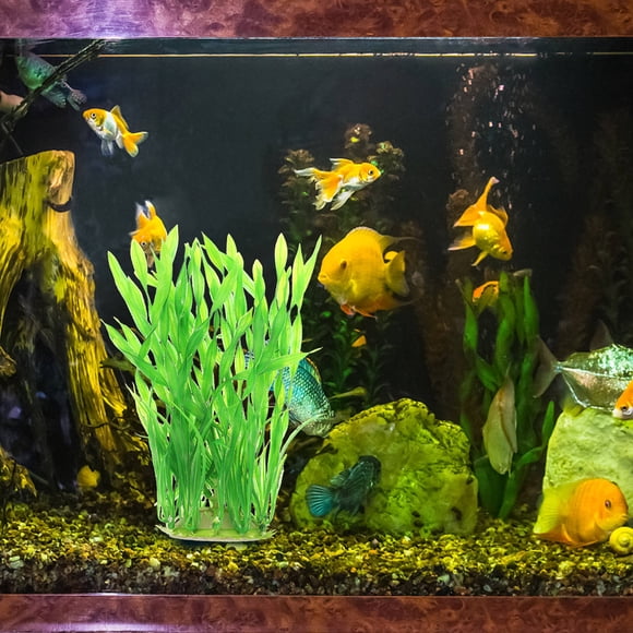 HAMPPLIES 2Ud Para Acuario De Plástico Con Apariencia Natural Para