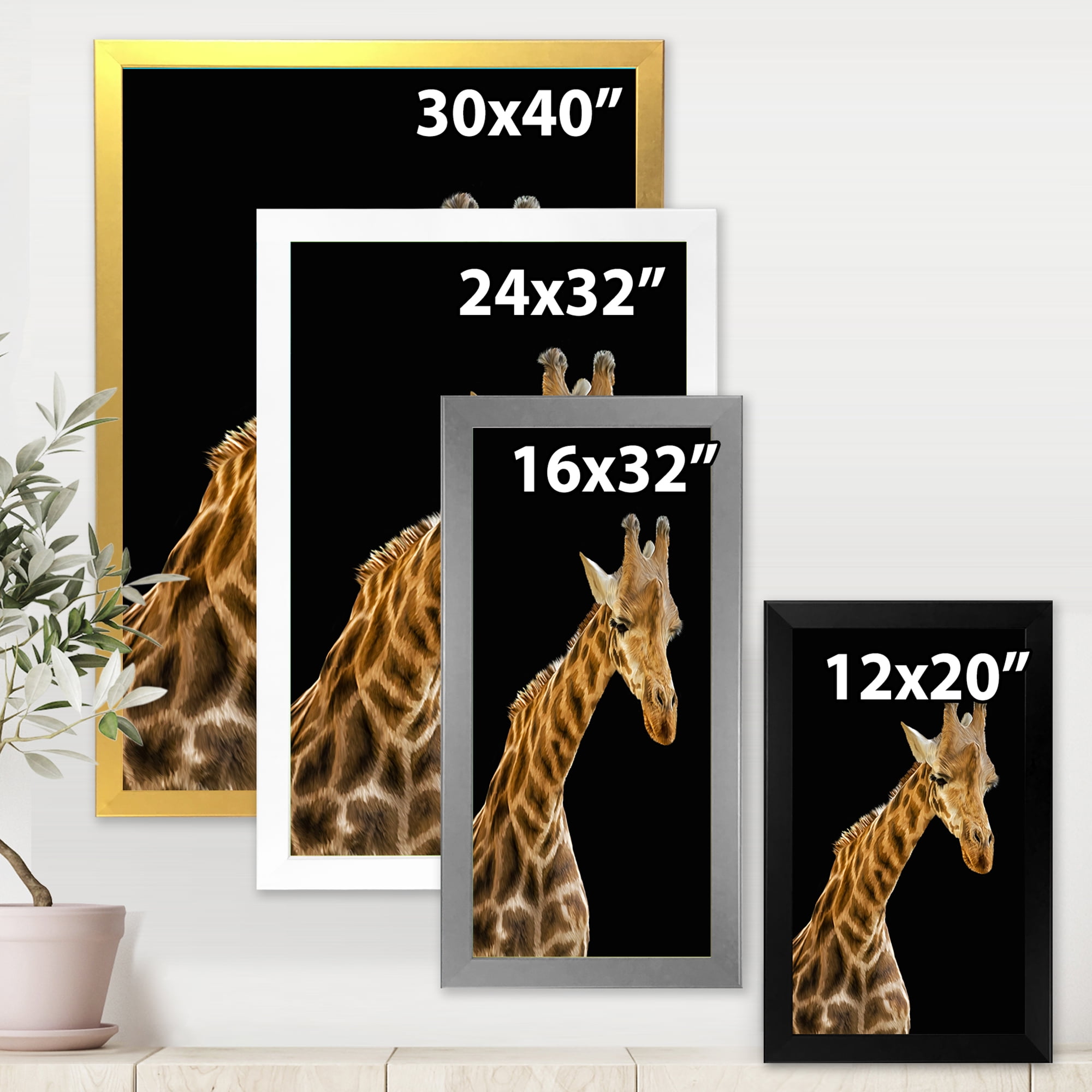 Designart 'Portrait of A Giraffe On Black Background II' Farmhouse Framed Art Print