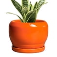 thumbnail image 1 of Maceta de cerámica SQOWL de 15 cm, naranja, con orificio de drenaje y salsa, 1 of 6
