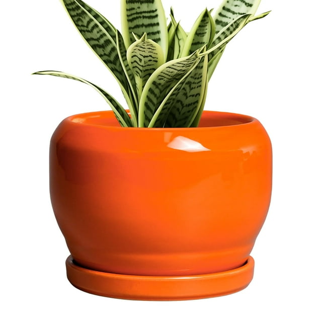 Maceta de cerámica SQOWL de 15 cm, naranja, con orificio de drenaje y salsa