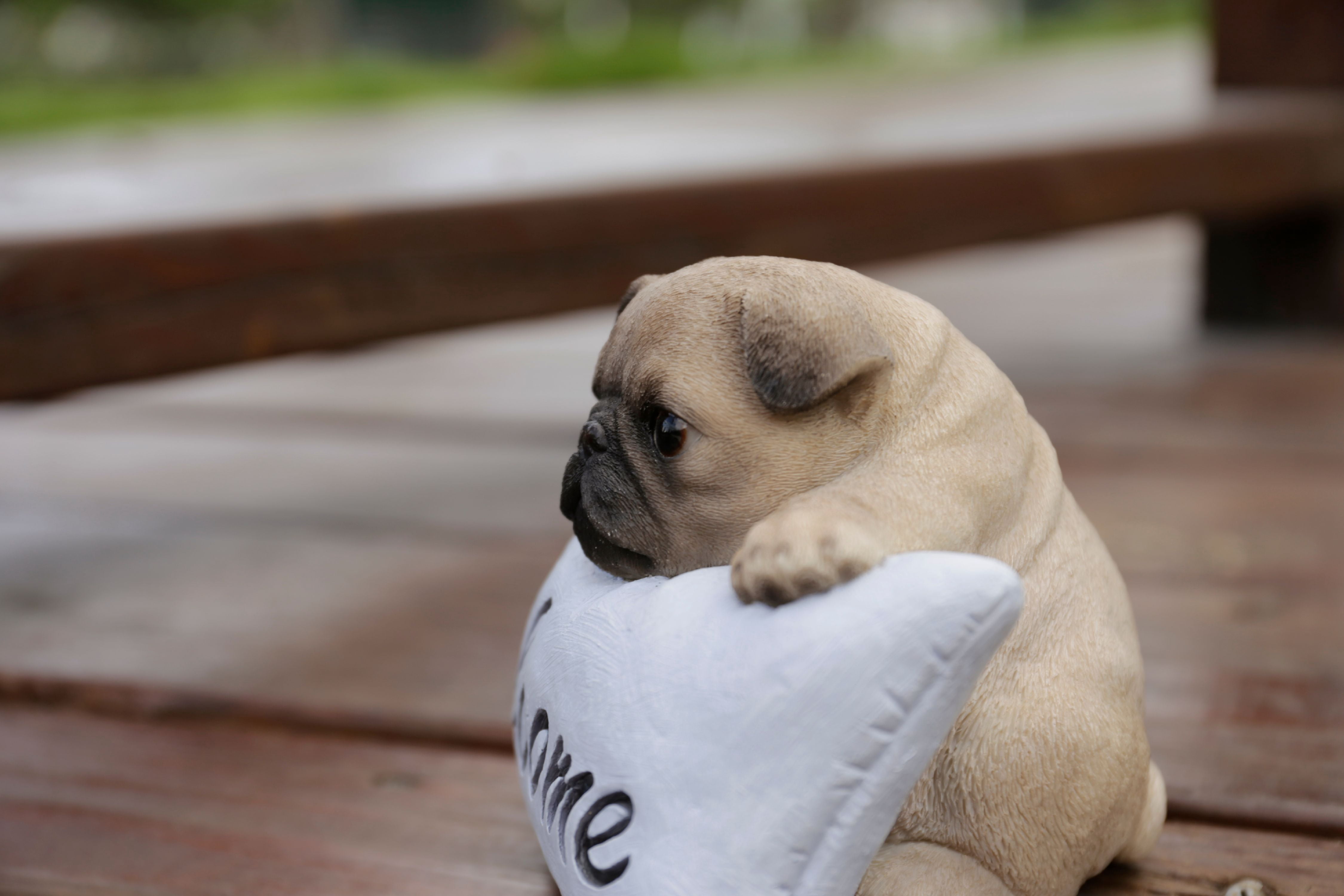 Hi-Line Gift PUG WITH WELCOME SIGN