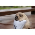 thumbnail image 6 of Hi-Line Gift PUG WITH WELCOME SIGN, 6 of 7