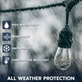 thumbnail image 3 of Luxrite 24FT LED Outdoor String Lights Commercial Grade Waterproof, 12 S14 Shatterproof Bulbs, IP65, Patio Garden Cafe, 3 of 7