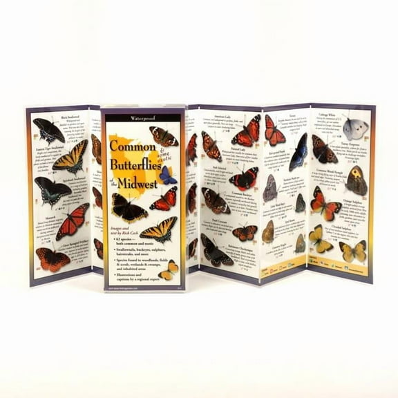 FoldingGuides: Common Butterflies of the Midwest (Other)
