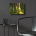 thumbnail image 5 of Epic Art 'Tree Sunset 1' by Joe Reimer Photography, Acrylic Glass Wall Art, 16"x12", 5 of 8