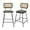 Pu Green, variant on Modern Counter Height Bar Stools with Cane Back & Leather Seat - for Kitchen, Home Bar & Restaurant