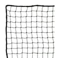 thumbnail image 1 of Protective Backstop Sports Netting 10' x 10', 1 of 3