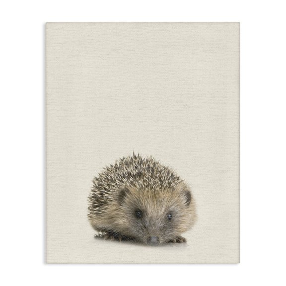 Stupell Industries Eclectic Just A Cute Hedgehog Canvas Art, 16 x 20, by Lil' Rue