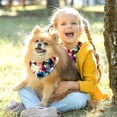 thumbnail image 5 of Pixel Dog Breathable Chiffon Dog Scarf 2-Pack - Translucent Lightweight Pet Collars, Size 16x16x22.8in and 20.9x20.9x30in, 5 of 5