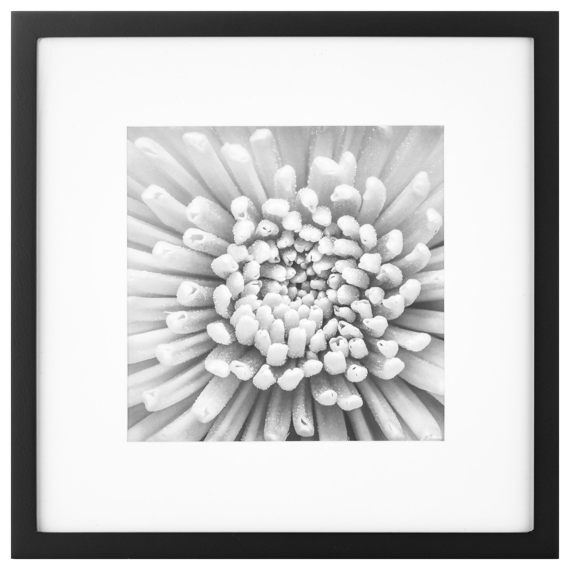 Gallery Perfect Black Gallery Wall Picture Frame White Mat Set for 8" x 8" or 12" x 12" Photos 9-Piece