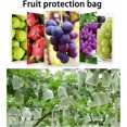 thumbnail image 2 of Redes de protección contra insectos y pájaros, bolsa de protección de frutas con cordón, bolsa de protección de uvas, protege frutas, flores, verduras, impermeable, transpirable, 2 of 5