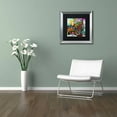 thumbnail image 3 of Trademark Fine Art "A Nice Place To Live" Canvas Art by Josh Byer, Black Matte, Silver Frame, 3 of 4