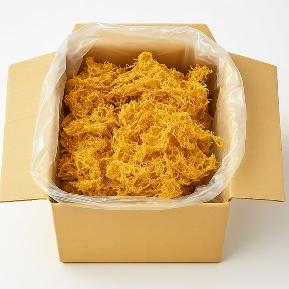 Tropical Superfoods Wholesale Sea Moss Wildcrafted - 1lbs Gold Seamoss makes 80 ounces of Sea Moss Gel