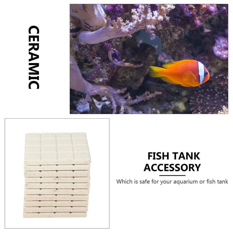 10PCS Coral Stands Fish Tank Supplies Coral Holders Aquarium Coral Racks