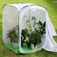 thumbnail image 4 of Spacious And Portable Butterfly Habitat Cage - Collapsible Terrarium, Green Edge With White Net, 4 of 5