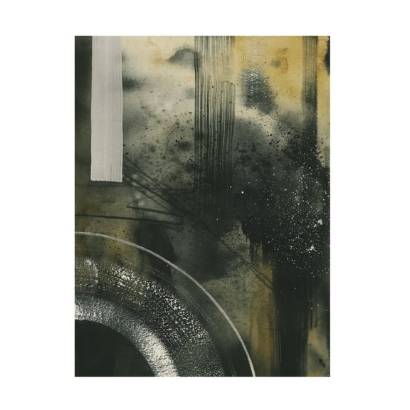 Trademark Fine Art Grace Popp Velvet Gallaxy I Canvas Wall Art