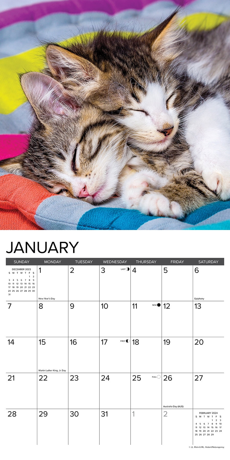 2024 Kalender, 2024 Kitty Calendar, Cat Wall Calendar 2024, 12 månaders  kattkalenderpresenter till kattälskare 1Pcs a566, 1Pcs