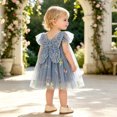 thumbnail image 2 of Curuila Infant Toddler Girls Mesh Dress Flutter Sleeve Floral Embroider Square Neck Party Fashionable Dresses For Girls Size 6-12 Months, 2 of 7