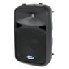 Samson Auro D210 - Speaker - for PA system - 155 Watt - 2-way