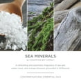 thumbnail image 3 of Chesapeake Bay Candle Minimalist Collection Sea Minerals - 8oz Half-Frosted Jar Candle, 3 of 5