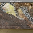 thumbnail image 6 of Ambesonne Zoo Place Mats Set of 4, Leopard Tree Nature Reserve, Standard Size, Green Pale Brown White, 6 of 6