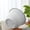 White, variant on Plastic Plant Pot,Plant Pots Indoor,Planter Pot - Outdoor & Indoor Plant Pot with Drainage Hole & Plug - Rolled Rim Plastic Pots for Plants & Flowers - Decorative Plant Pot(Beige 6.5IN)