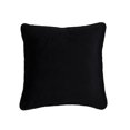 thumbnail image 2 of Luminous Piping Border Pillow - 16" - Black, 2 of 4