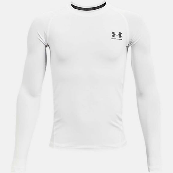 Under Armour HG Armour LS Tops