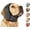 Black, variant on Noise Cancelling Ear Wrap, Dog No Shake Ear Muffs Noise Protection Firework Thunder Vacuum, Comfortable Quiet Dogs Calming Hoodie, Adjustable for Grooming Bathing & Swimming (Pink, Medium)