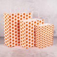 thumbnail image 5 of Printed Gift Bags with Handles - Recyclable Party Favor Bags for Birthday, Wedding, Treats - 3 Sizes, 6 Colors, 5 of 5