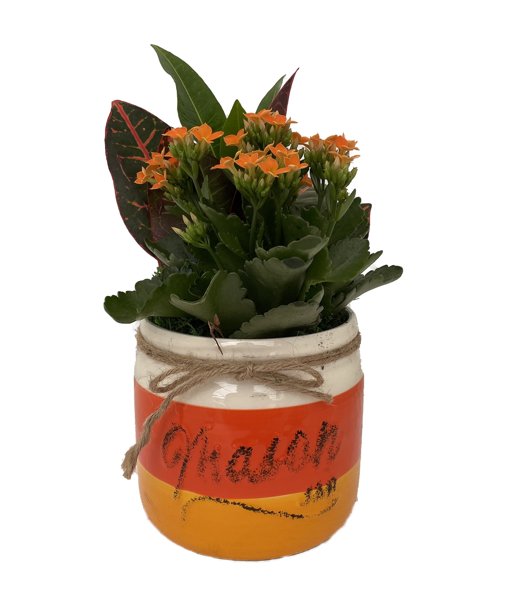Candy Corn Mason Jar Ceramic Planter with Orange Kalanchoe and Croton