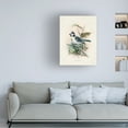 thumbnail image 3 of Unknown 'Antique Birds VI' Canvas Art, 3 of 3