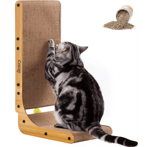 Cartón Juguetes Para Gatos Chiquitos Rascador Para Gatos Casero