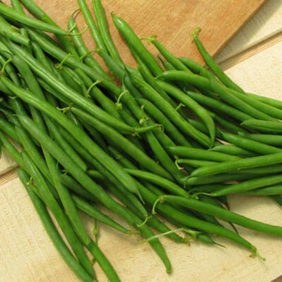 Harris Seeds 100 Lewis Variety Bean Plant Seeds, Non-GMO