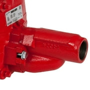 Red Lion 602038 RJC-100 1HP Cast Iron Convertible Jet Pump with Injector Kit