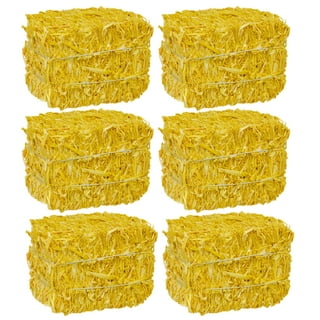 FSSTAM Decorative Mini Straw Bales, Rectangular Faux Hay Bale for