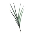 thumbnail image 3 of Villa, Mlli 20x20 Black Modern Framed Museum Art Print Titled - Green Leaves, 3 of 5