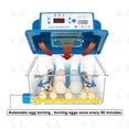 thumbnail image 5 of Intelligent 16-Egg Incubator, Automatic Egg Turning, Digital Display, Battery Backup, for Chickens, Ducks, Geese, and Quail, 5 of 9