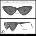 thumbnail image 3 of Womens Snug Retro Fit Timeless Cat Eye Plastic Sunglasses Tortoise - Brown, 3 of 8