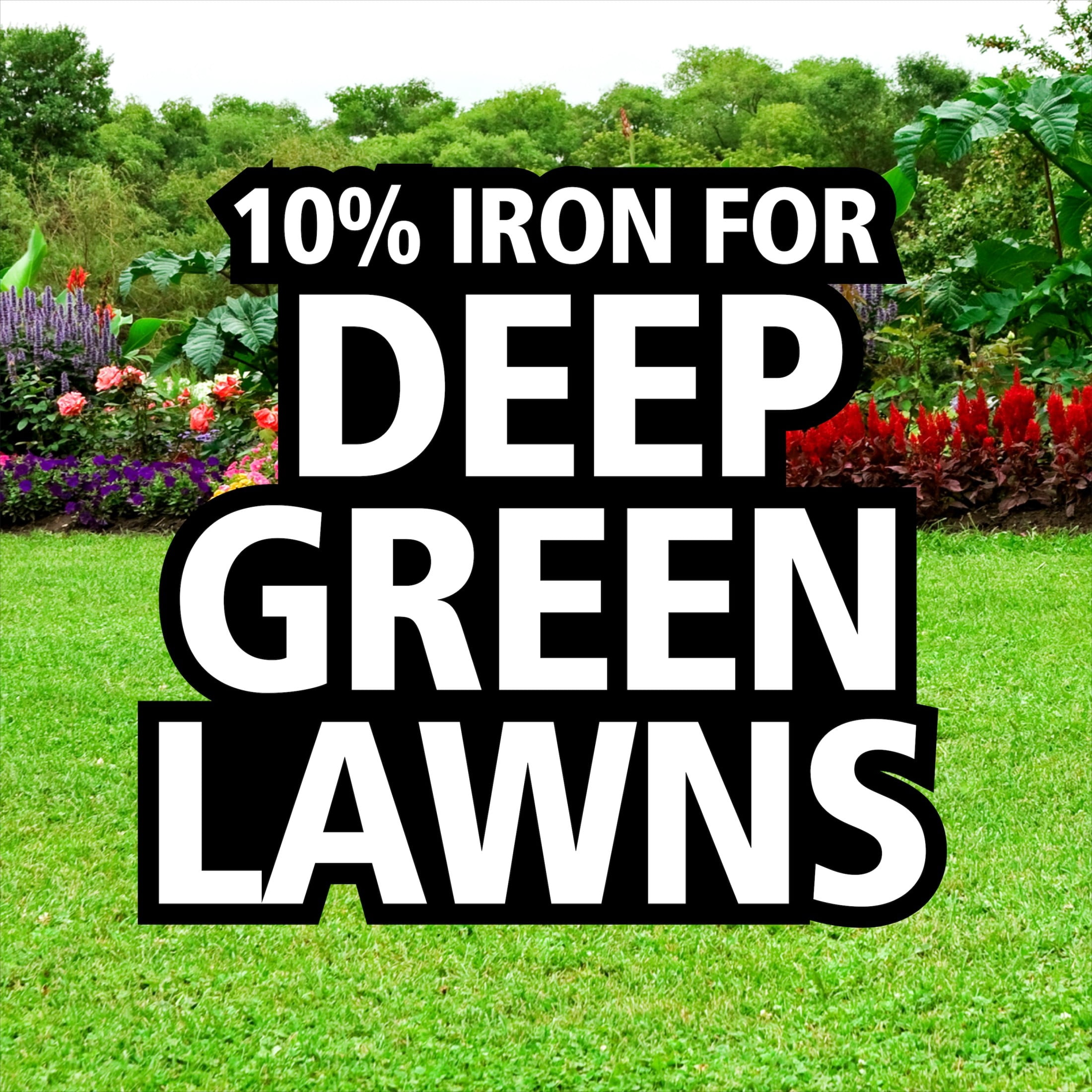 Lilly Miller Moss Out! Spot Treater for Lawns & Flower Beds, Herbicide, 5lb. 1 pack