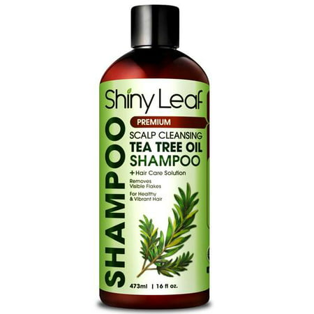 Tea Tree Oil Shampoo, Sulfate Free Anti-dandruff Shampoo with Essential Tea Tree Oil, Deep Cleansing Formula, Scalp Remedy for Soft and Smooth Hair, Gets Rid of Head Lice,16 fl. (Best Way To Get White Hair)
