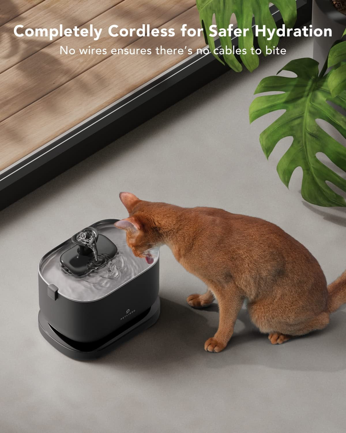 Drinkwell cat water fountain battery operated hotsell