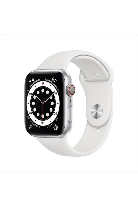 Restored Apple Watch Series 6 (GPS+Cellular, 44mm) - Silver Stainless Steel Case - Silver Milanese Loop (Refurbished)