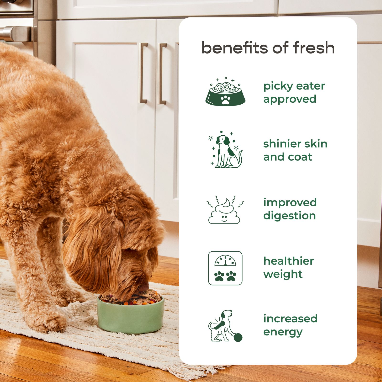 Freshpet Healthy & Natural Dog Food, Fresh Beef Roll, 6lb - image 5 of 6